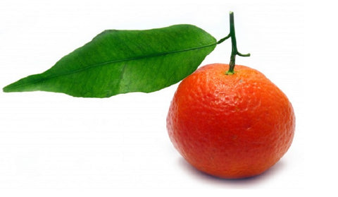 Mandarin Red - Citrus nobilis