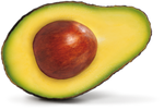 Avocado Seed Butter - Persea Gratissima
