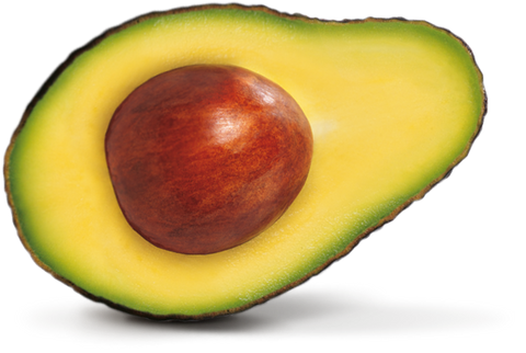 Avocado Seed Butter - Persea Gratissima