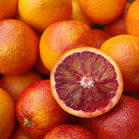 Blood Orange - Citrus sinensis