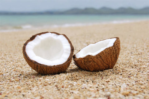 Coconut Oil Butter - Organic - Unrefined - Cocos nucifera