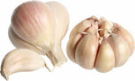 Garlic - Allium sativum