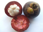 Kokum Seed Butter - Garcinia indica