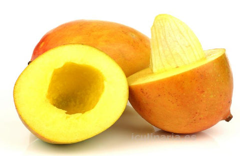 Mango Seed Butter - Organic - Mangifera indica
