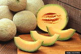 Musk Hydrosol - Cucumis melo Hydrosol