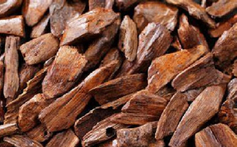 New Caledonia Sandalwood -  Santalum austrocaledonicum Vieill.