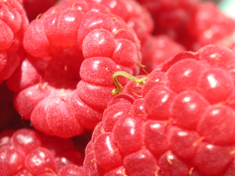 Raspberry Seed Cold Pressed Carrier Oil - Rubus idaeus