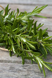 Rosemary Hydrosol - Rosmarinus officinalis