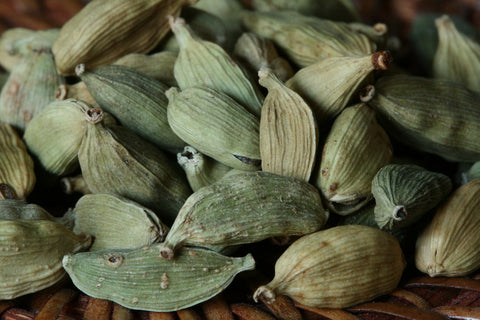 Cardamom Absolute - Elettaria cardamomum