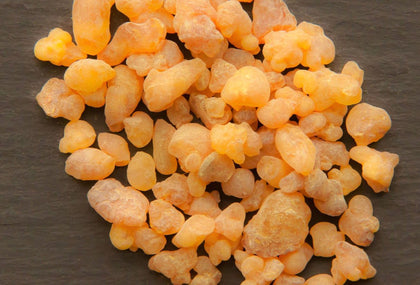 Frankincense - Boswellia carterii