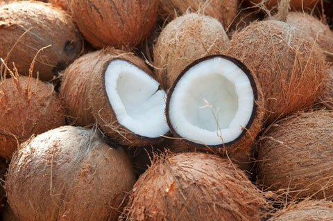 Coconut Carrier Oil (Fractionised) - Cocos nucifera