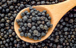 Black Pepper - Piper nigrum