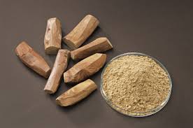 Sandalwood Amyris - Amyris balsamifera
