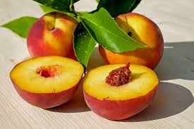 Peach Kernel Carrier Oil - Prunus persica