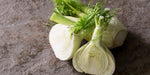 Fennel Seed - Sweet - Foeniculum vulgare