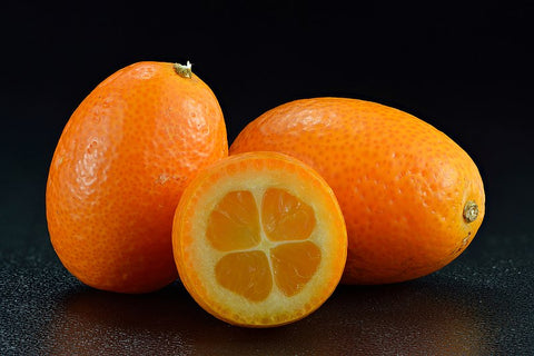 Kumquat - Citrus japonica - Fortunella japonica