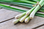 Lemongrass - Cymbopogon citratus