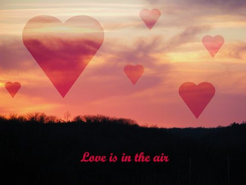 Love is in the Air Fragrance Oil