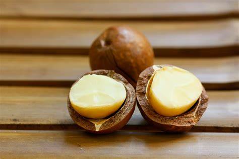Macadamia Nut Carrier Oil - Macadamia integrifolia