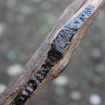 Woody OUD Fragrance Oil