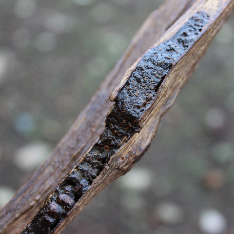 Woody OUD Fragrance Oil