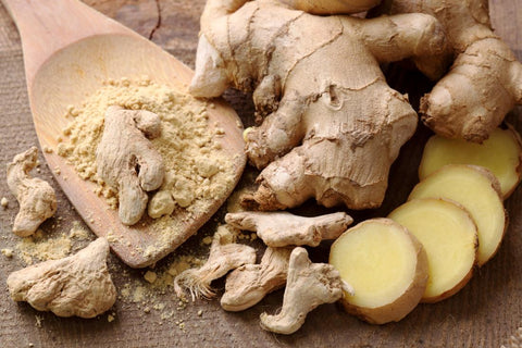 Ginger - Zingiber officinale