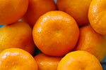 Tangerine - Citrus tangerina