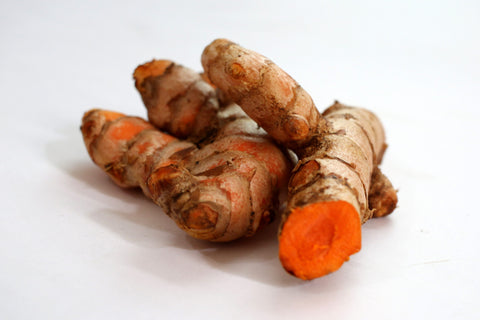 Turmeric - Curcuma longa